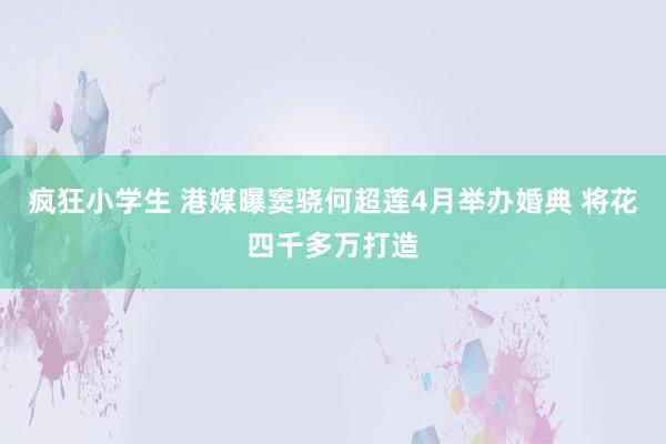 疯狂小学生 港媒曝窦骁何超莲4月举办婚典 将花四千多万打造