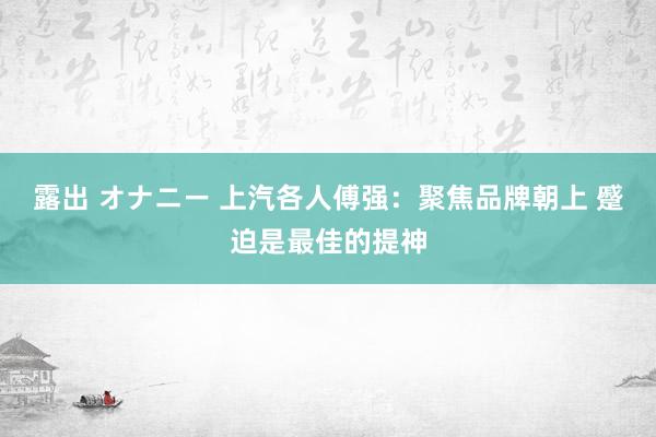 露出 オナニー 上汽各人傅强：聚焦品牌朝上 蹙迫是最佳的提神