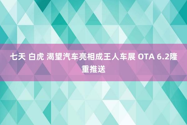 七天 白虎 渴望汽车亮相成王人车展 OTA 6.2隆重推送