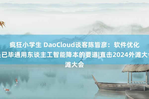 疯狂小学生 DaoCloud谈客陈皆彦：软件优化是已毕通用东谈主工智能降本的要道|直击2024外滩大会