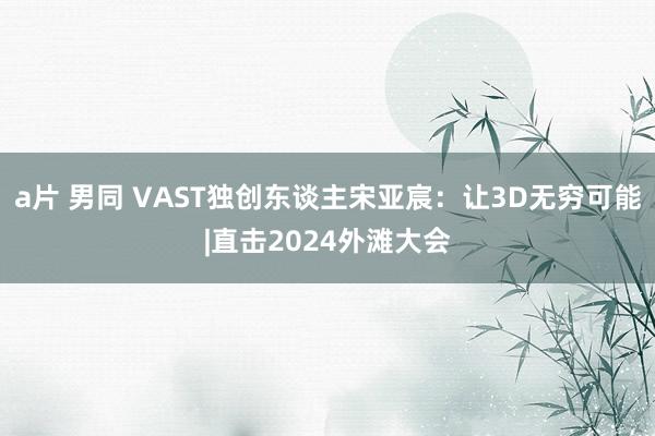 a片 男同 VAST独创东谈主宋亚宸：让3D无穷可能|直击2024外滩大会