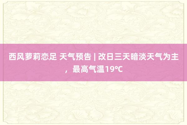 西风萝莉恋足 天气预告 | 改日三天暗淡天气为主，最高气温19℃