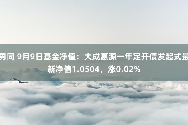 男同 9月9日基金净值：大成惠源一年定开债发起式最新净值1.0504，涨0.02%