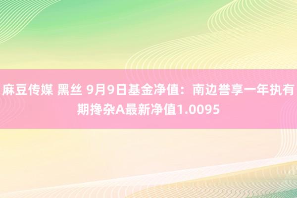 麻豆传媒 黑丝 9月9日基金净值：南边誉享一年执有期搀杂A最新净值1.0095