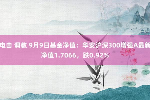 电击 调教 9月9日基金净值：华安沪深300增强A最新净值1.7066，跌0.92%