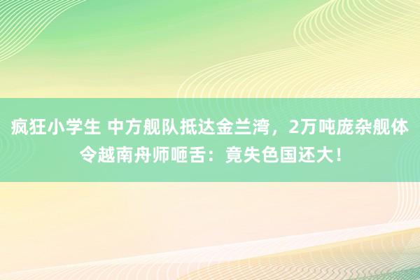 疯狂小学生 中方舰队抵达金兰湾，2万吨庞杂舰体令越南舟师咂舌：竟失色国还大！