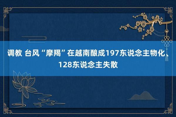 调教 台风“摩羯”在越南酿成197东说念主物化、128东说念主失散