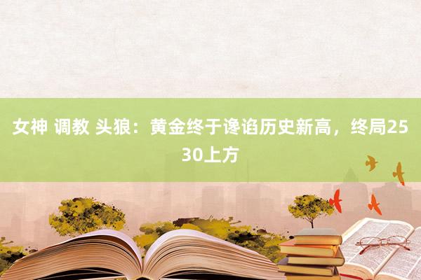 女神 调教 头狼：黄金终于谗谄历史新高，终局2530上方