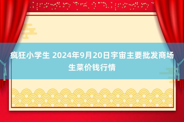 疯狂小学生 2024年9月20日宇宙主要批发商场生菜价钱行情