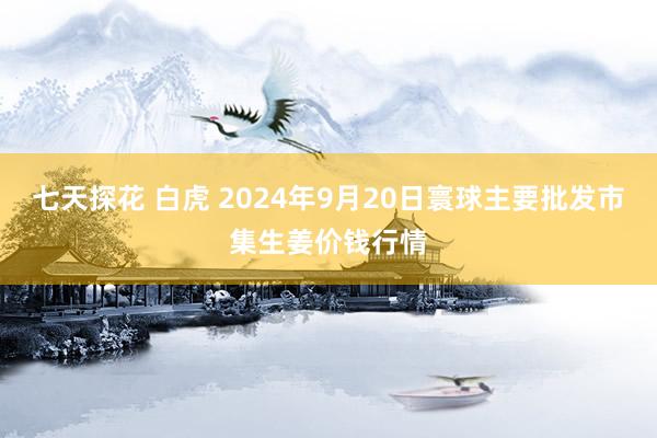 七天探花 白虎 2024年9月20日寰球主要批发市集生姜价钱行情