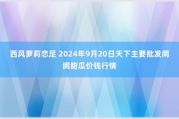 西风萝莉恋足 2024年9月20日天下主要批发阛阓甜瓜价钱行情