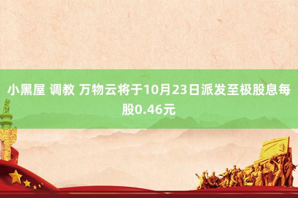 小黑屋 调教 万物云将于10月23日派发至极股息每股0.46元