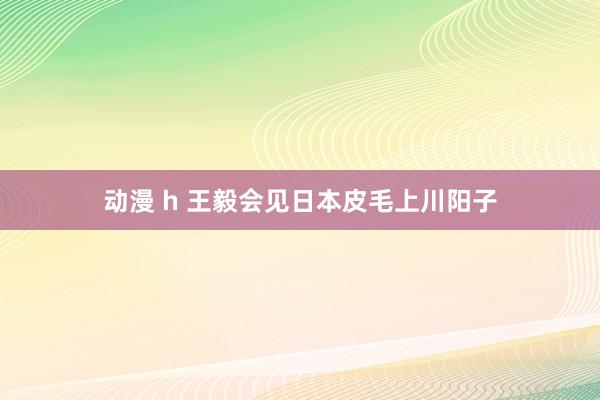 动漫 h 王毅会见日本皮毛上川阳子