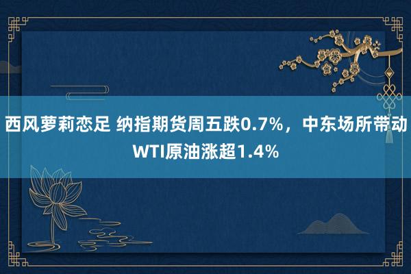 西风萝莉恋足 纳指期货周五跌0.7%，中东场所带动WTI原油涨超1.4%