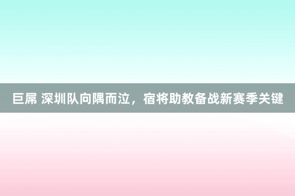 巨屌 深圳队向隅而泣，宿将助教备战新赛季关键