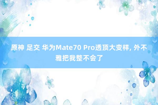 原神 足交 华为Mate70 Pro透顶大变样， 外不雅把我整不会了