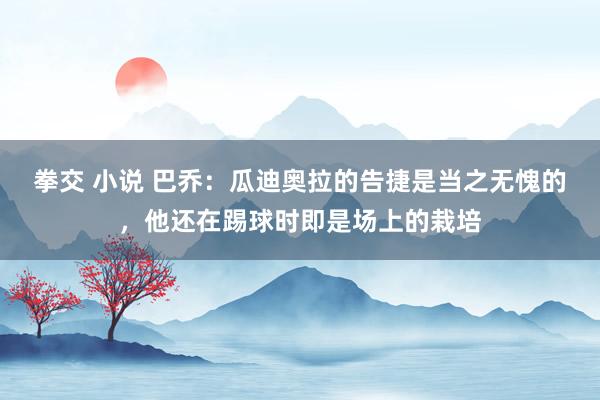 拳交 小说 巴乔：瓜迪奥拉的告捷是当之无愧的，他还在踢球时即是场上的栽培