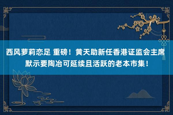 西风萝莉恋足 重磅！黄天助新任香港证监会主席 默示要陶冶可延续且活跃的老本市集！