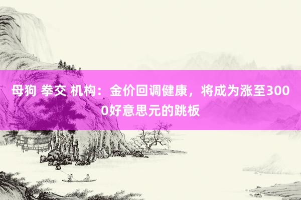 母狗 拳交 机构：金价回调健康，将成为涨至3000好意思元的跳板