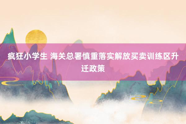 疯狂小学生 海关总署慎重落实解放买卖训练区升迁政策