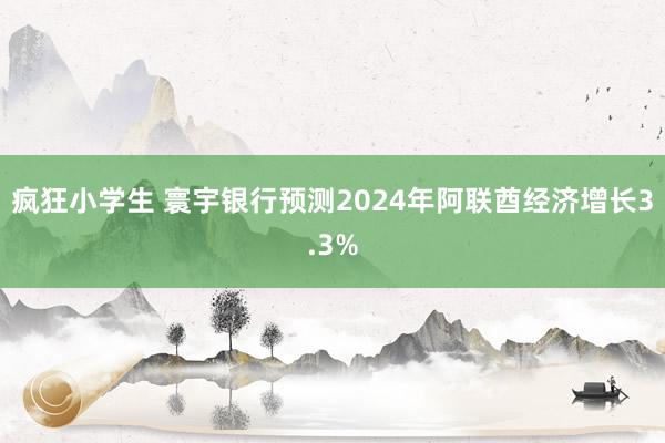 疯狂小学生 寰宇银行预测2024年阿联酋经济增长3.3%