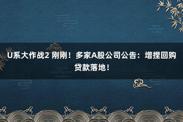 U系大作战2 刚刚！多家A股公司公告：增捏回购贷款落地！