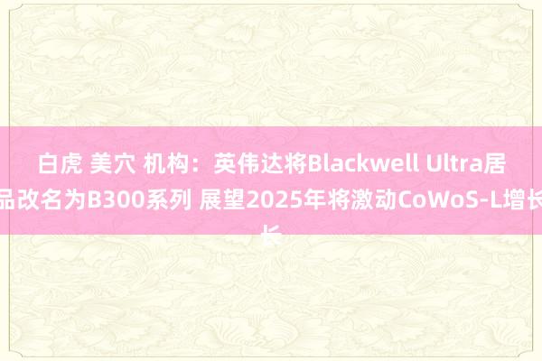 白虎 美穴 机构：英伟达将Blackwell Ultra居品改名为B300系列 展望2025年将激动CoWoS-L增长