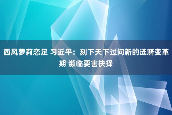 西风萝莉恋足 习近平：刻下天下过问新的涟漪变革期 濒临要害抉择