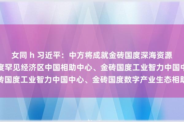 女同 h 习近平：中方将成就金砖国度深海资源海外讨论中心、金砖国度罕见经济区中国相助中心、金砖国度工业智力中国中心、金砖国度数字产业生态相助收集