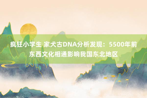 疯狂小学生 家犬古DNA分析发现：5500年前东西文化相通影响我国东北地区