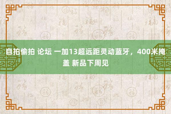 自拍偷拍 论坛 一加13超远距灵动蓝牙，400米掩盖 新品下周见