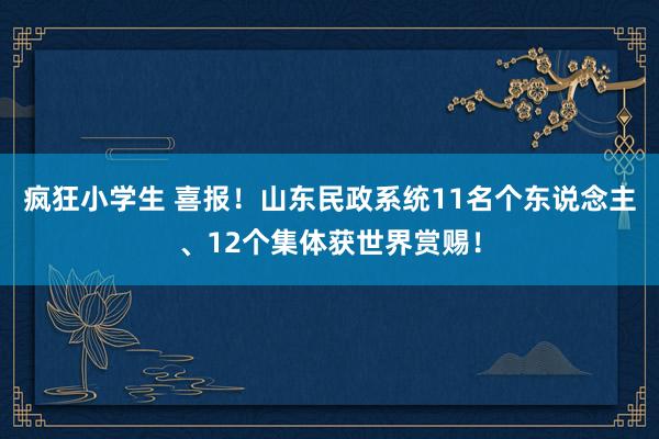 疯狂小学生 喜报！山东民政系统11名个东说念主、12个集体获世界赏赐！