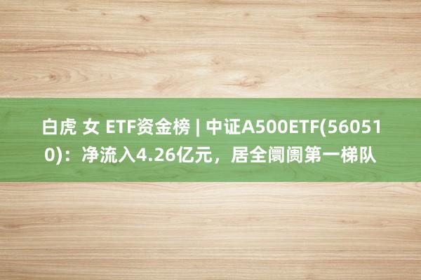 白虎 女 ETF资金榜 | 中证A500ETF(560510)：净流入4.26亿元，居全阛阓第一梯队