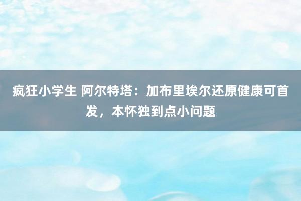 疯狂小学生 阿尔特塔：加布里埃尔还原健康可首发，本怀独到点小问题