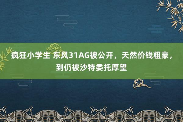 疯狂小学生 东风31AG被公开，天然价钱粗豪，到仍被沙特委托厚望