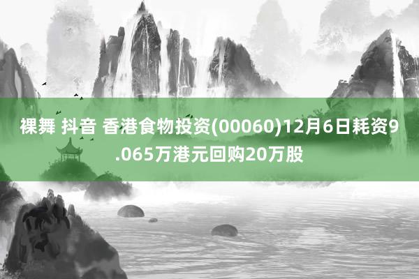 裸舞 抖音 香港食物投资(00060)12月6日耗资9.065万港元回购20万股