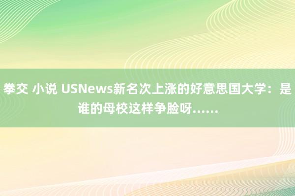 拳交 小说 USNews新名次上涨的好意思国大学：是谁的母校这样争脸呀......