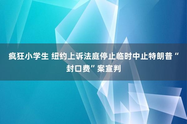 疯狂小学生 纽约上诉法庭停止临时中止特朗普“封口费”案宣判