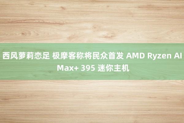 西风萝莉恋足 极摩客称将民众首发 AMD Ryzen AI Max+ 395 迷你主机