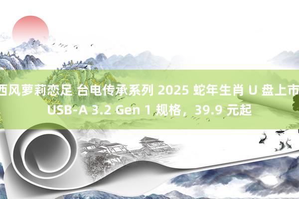 西风萝莉恋足 台电传承系列 2025 蛇年生肖 U 盘上市：USB-A 3.2 Gen 1 规格，39.9 元起