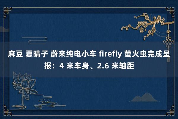 麻豆 夏晴子 蔚来纯电小车 firefly 萤火虫完成呈报：4 米车身、2.6 米轴距