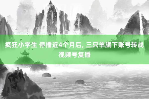 疯狂小学生 停播近4个月后， 三只羊旗下账号转战视频号复播