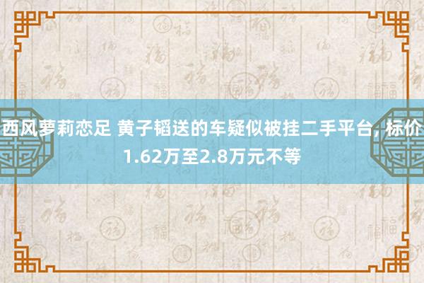 西风萝莉恋足 黄子韬送的车疑似被挂二手平台， 标价1.62万至2.8万元不等