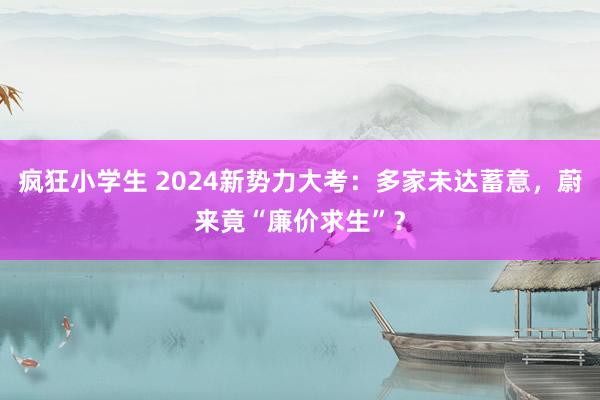 疯狂小学生 2024新势力大考：多家未达蓄意，蔚来竟“廉价求生”？