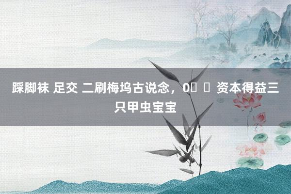 踩脚袜 足交 二刷梅坞古说念，0⃣️资本得益三只甲虫宝宝