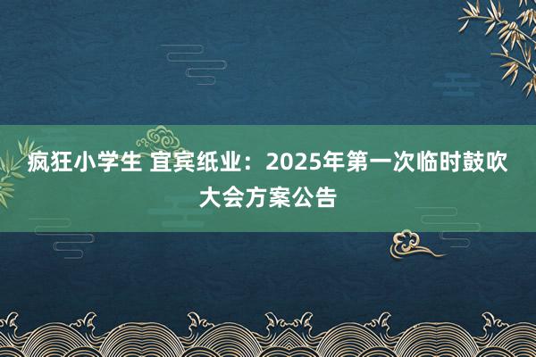 疯狂小学生 宜宾纸业：2025年第一次临时鼓吹大会方案公告