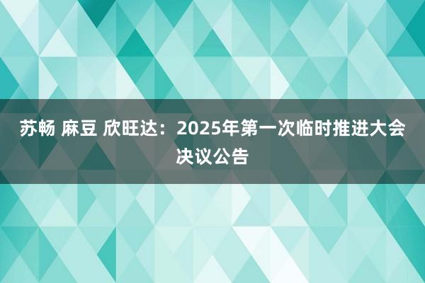 苏畅 麻豆 欣旺达：2025年第一次临时推进大会决议公告